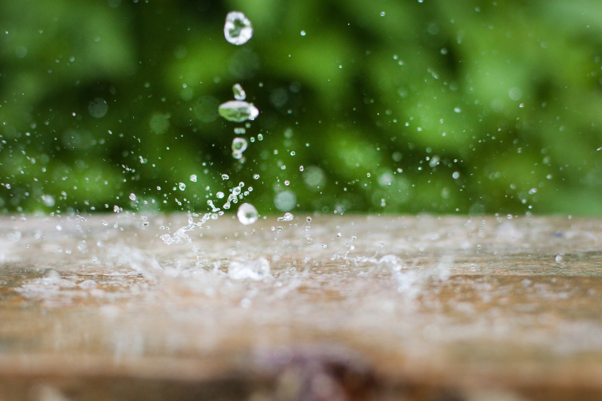 Dotacje na zatrzymywanie wody