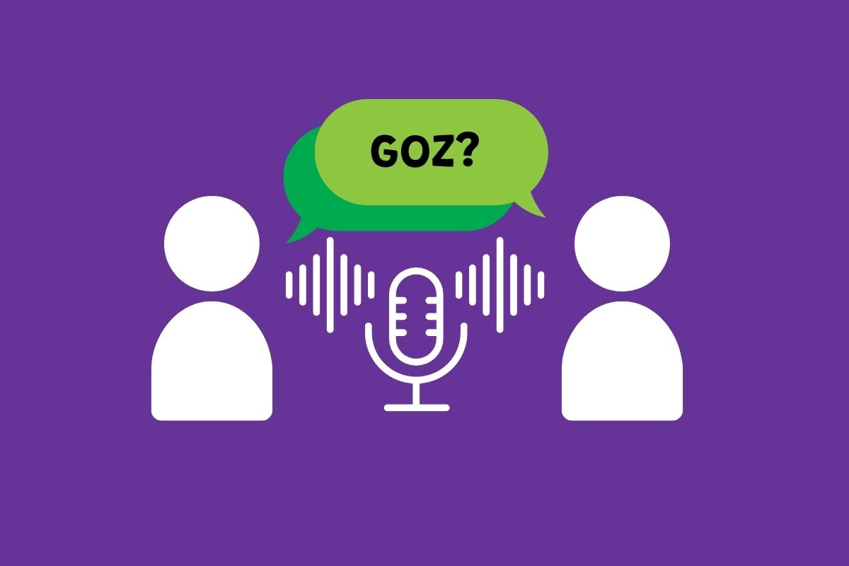 GOZ – sonda uliczna
