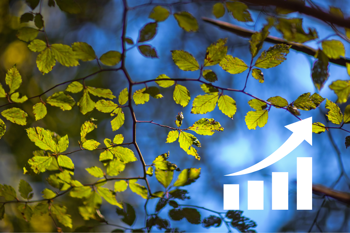 Jak mierzyć cyrkularność?